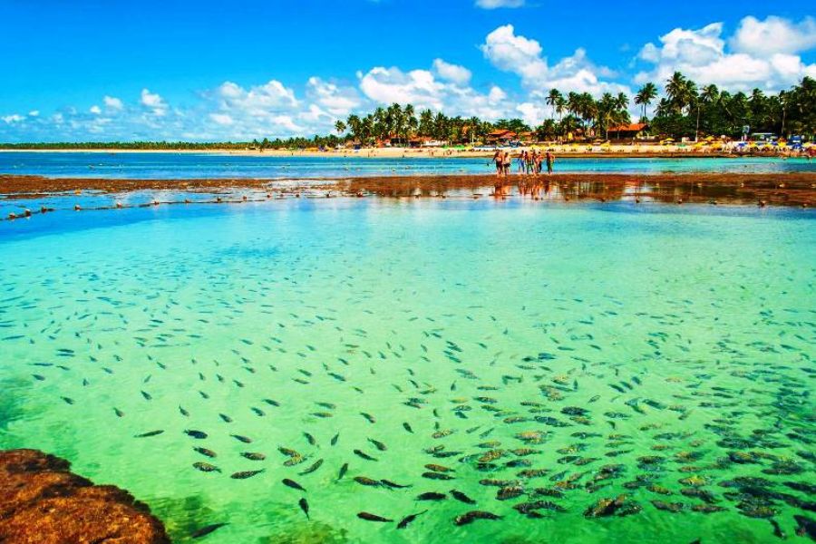 Novas regras em Porto de Galinhas PE